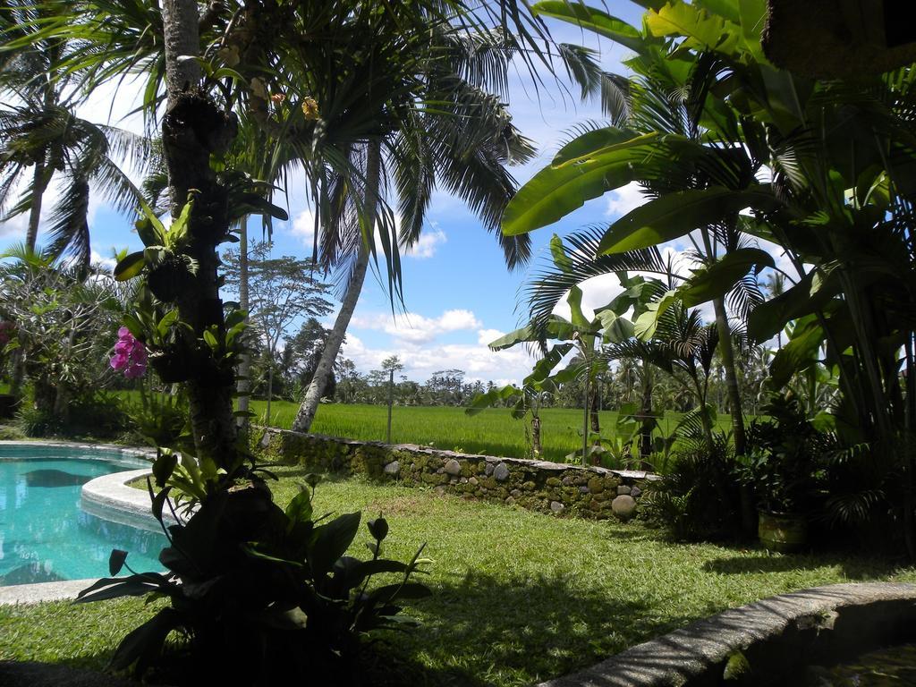 Saudara Home Ubud Luaran gambar