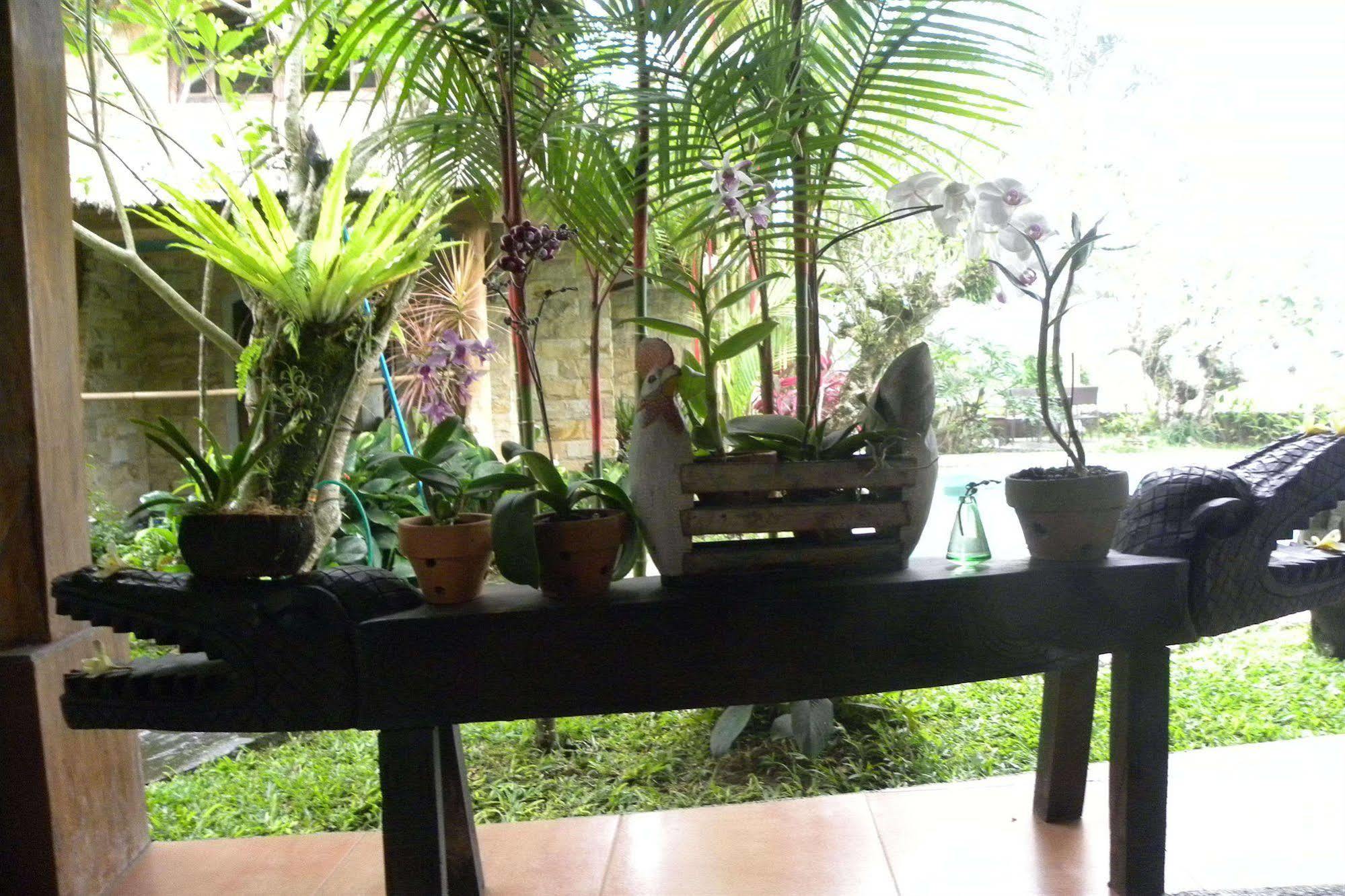 Saudara Home Ubud Luaran gambar