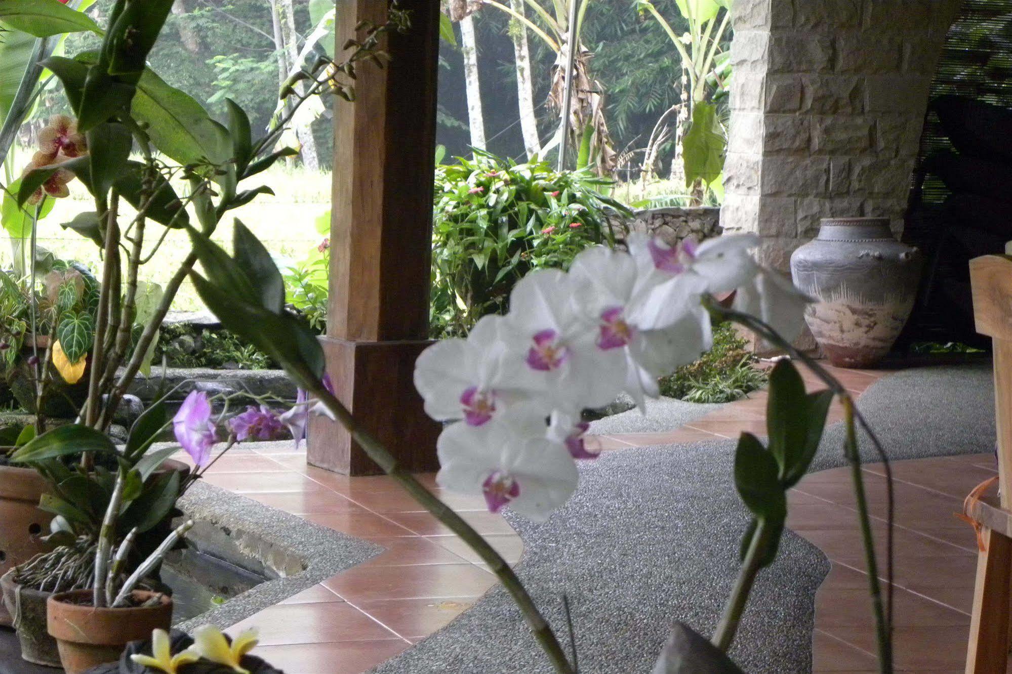 Saudara Home Ubud Luaran gambar