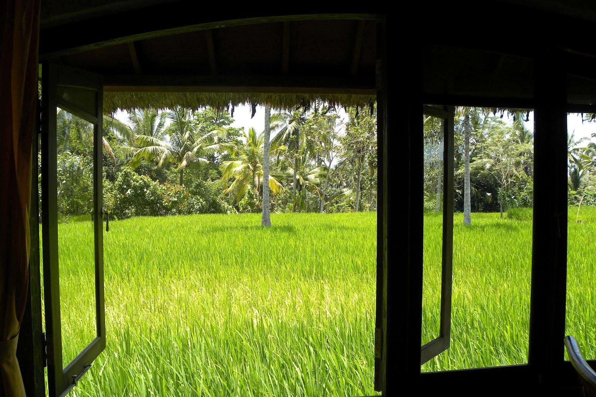 Saudara Home Ubud Luaran gambar