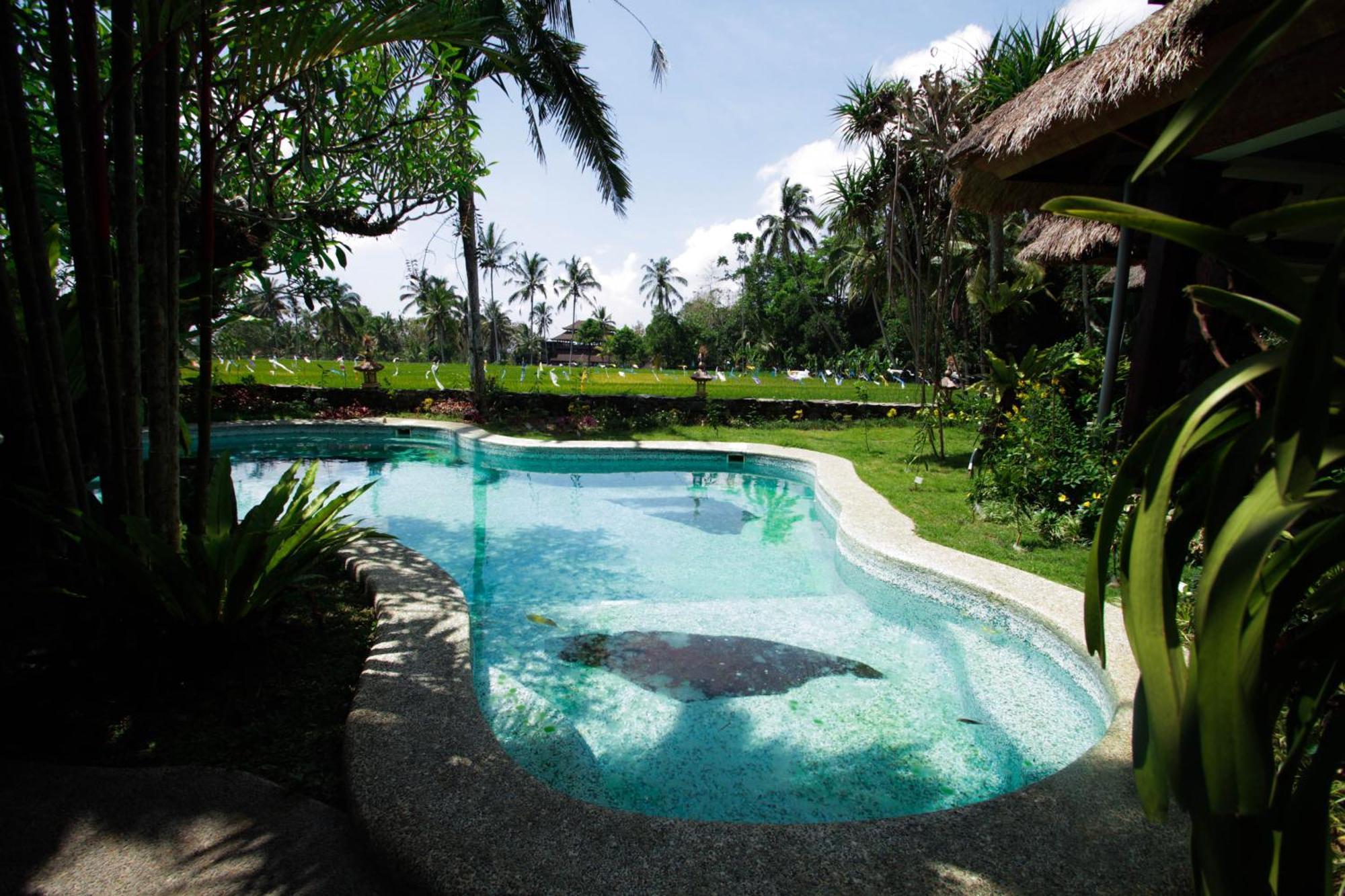 Saudara Home Ubud Luaran gambar